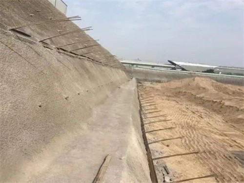 宁津河道边坡加固
